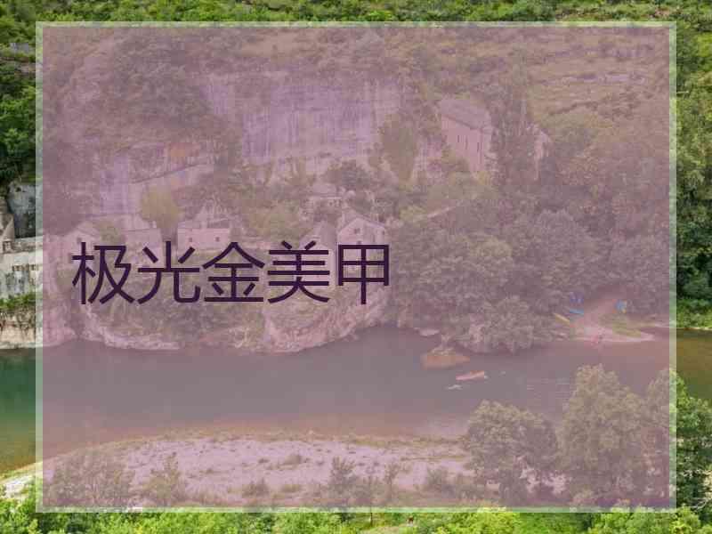 极光金美甲
