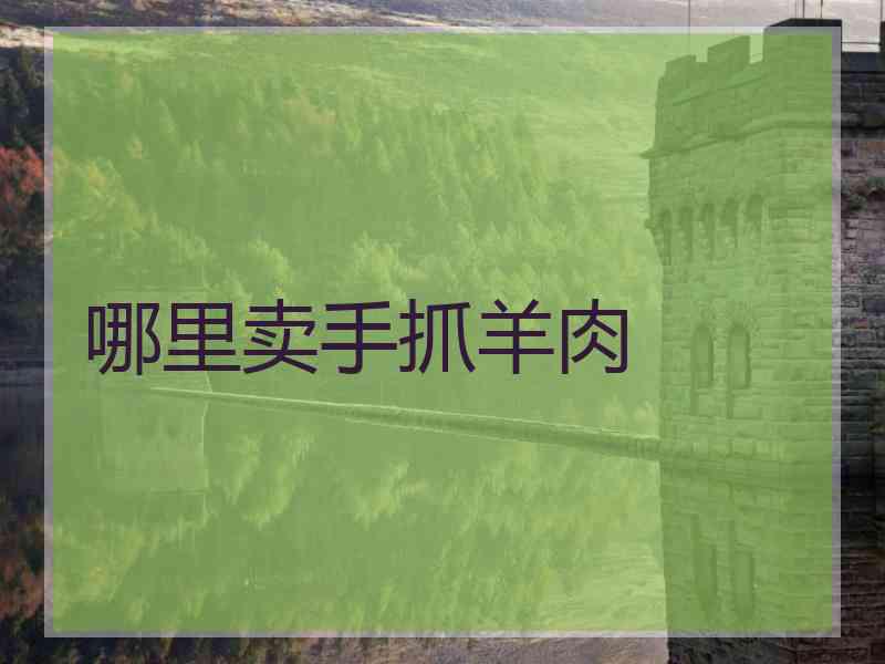 哪里卖手抓羊肉
