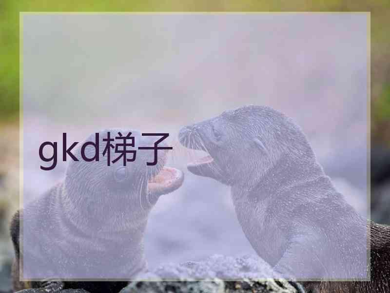 gkd梯子