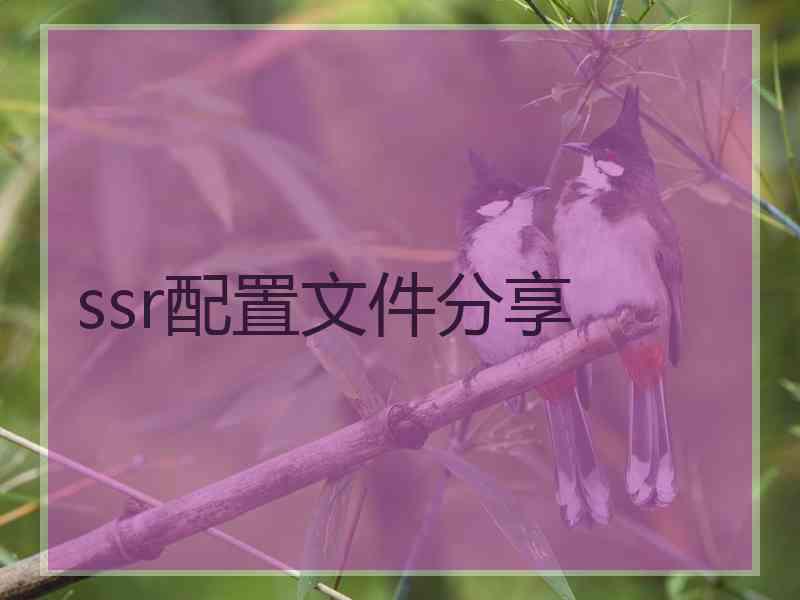 ssr配置文件分享