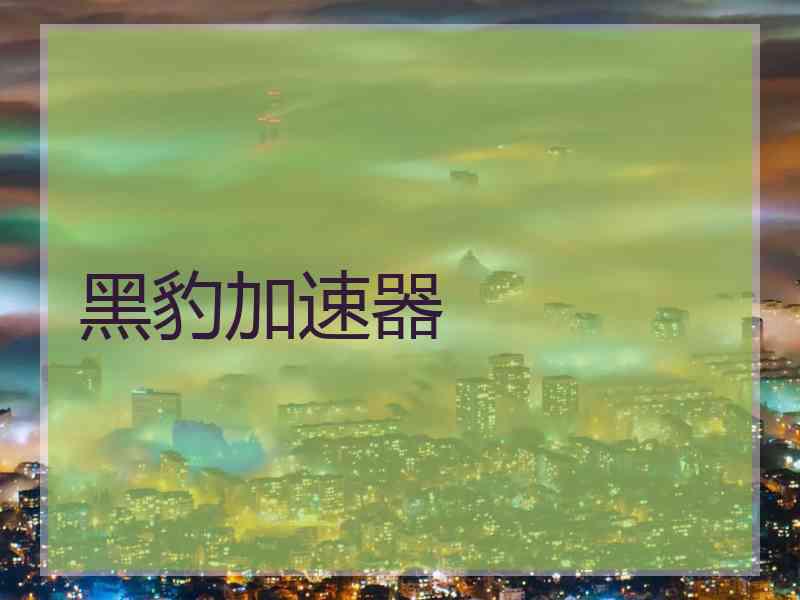 黑豹加速器