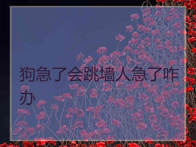 狗急了会跳墙人急了咋办