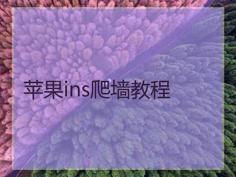 苹果ins爬墙教程