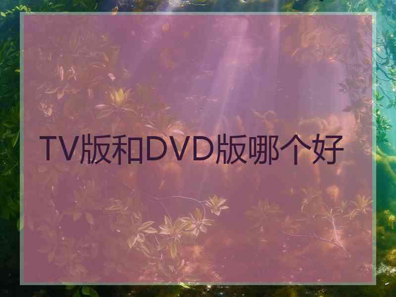TV版和DVD版哪个好