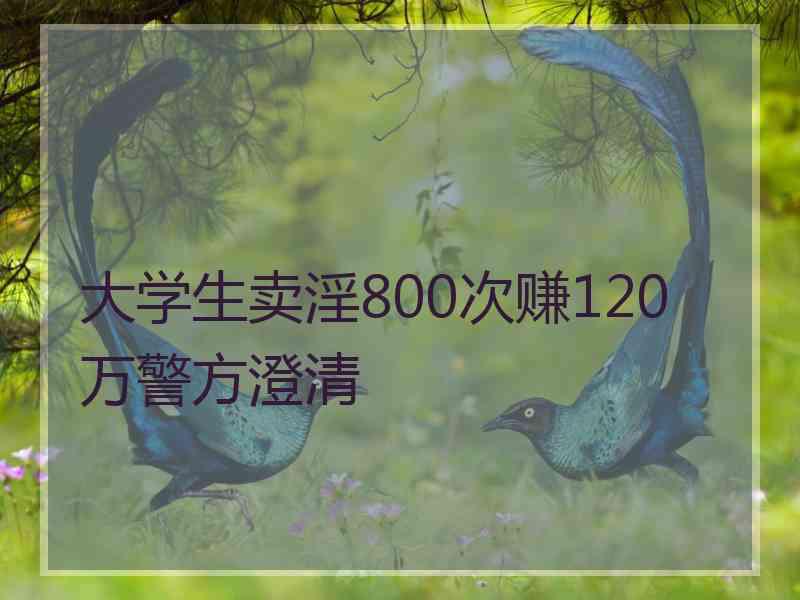 大学生卖淫800次赚120万警方澄清